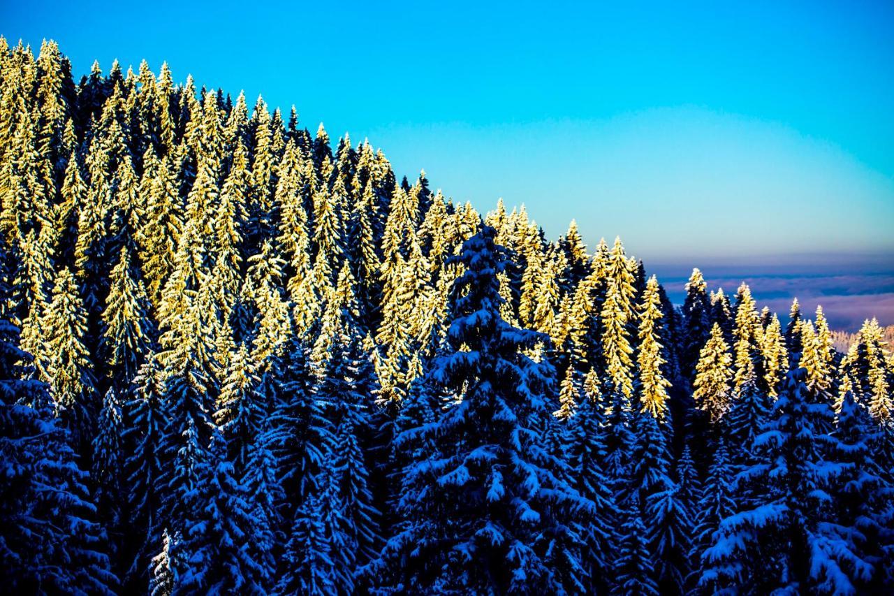 Sunny Hills Ski&Wellness Pamporovo Ngoại thất bức ảnh