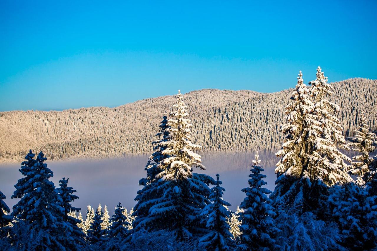 Sunny Hills Ski&Wellness Pamporovo Ngoại thất bức ảnh