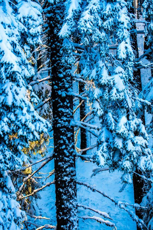 Sunny Hills Ski&Wellness Pamporovo Ngoại thất bức ảnh