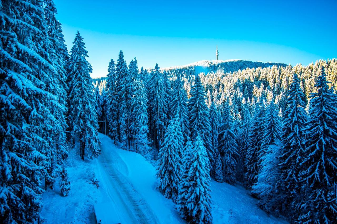 Sunny Hills Ski&Wellness Pamporovo Ngoại thất bức ảnh