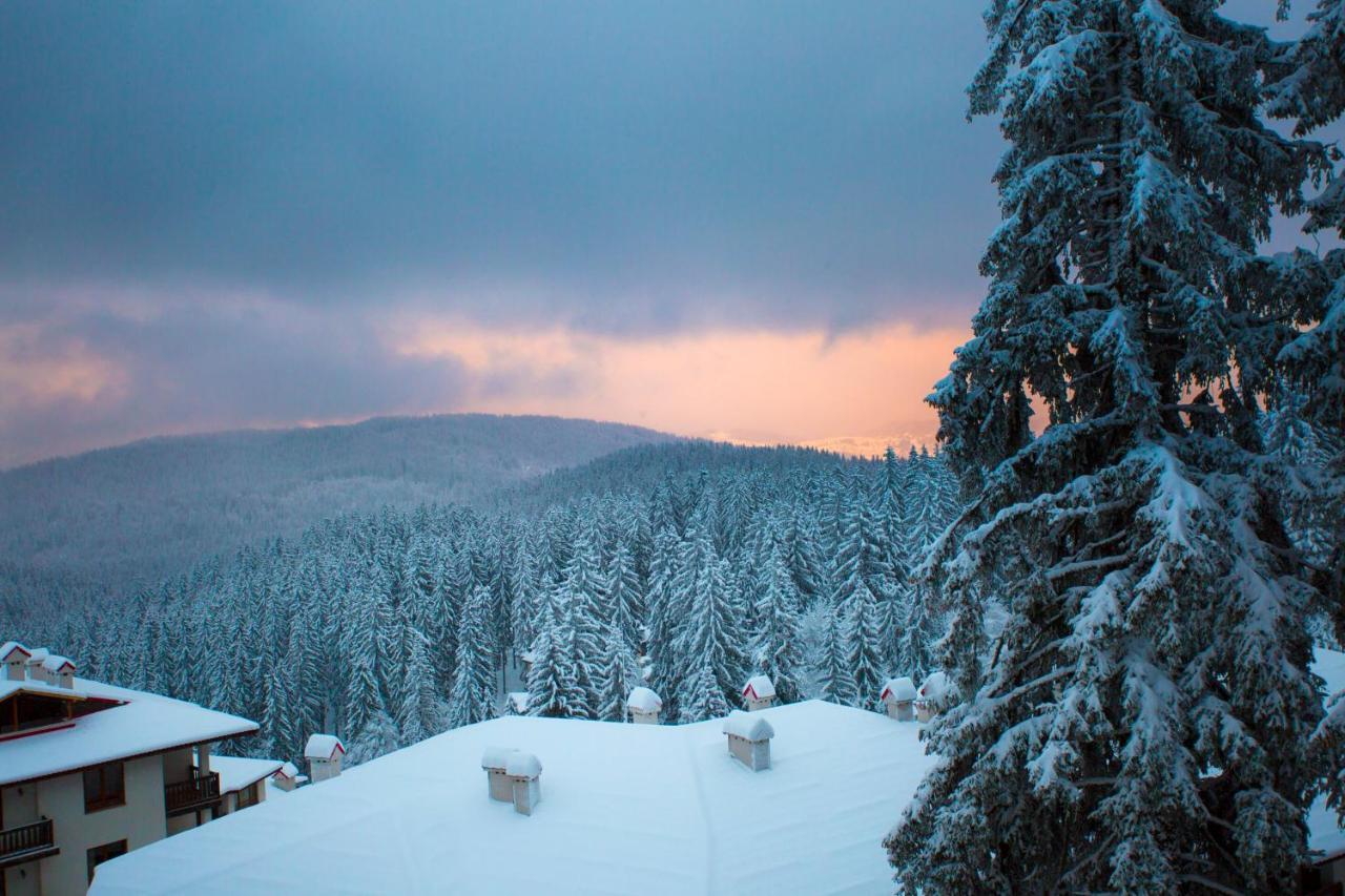 Sunny Hills Ski&Wellness Pamporovo Ngoại thất bức ảnh