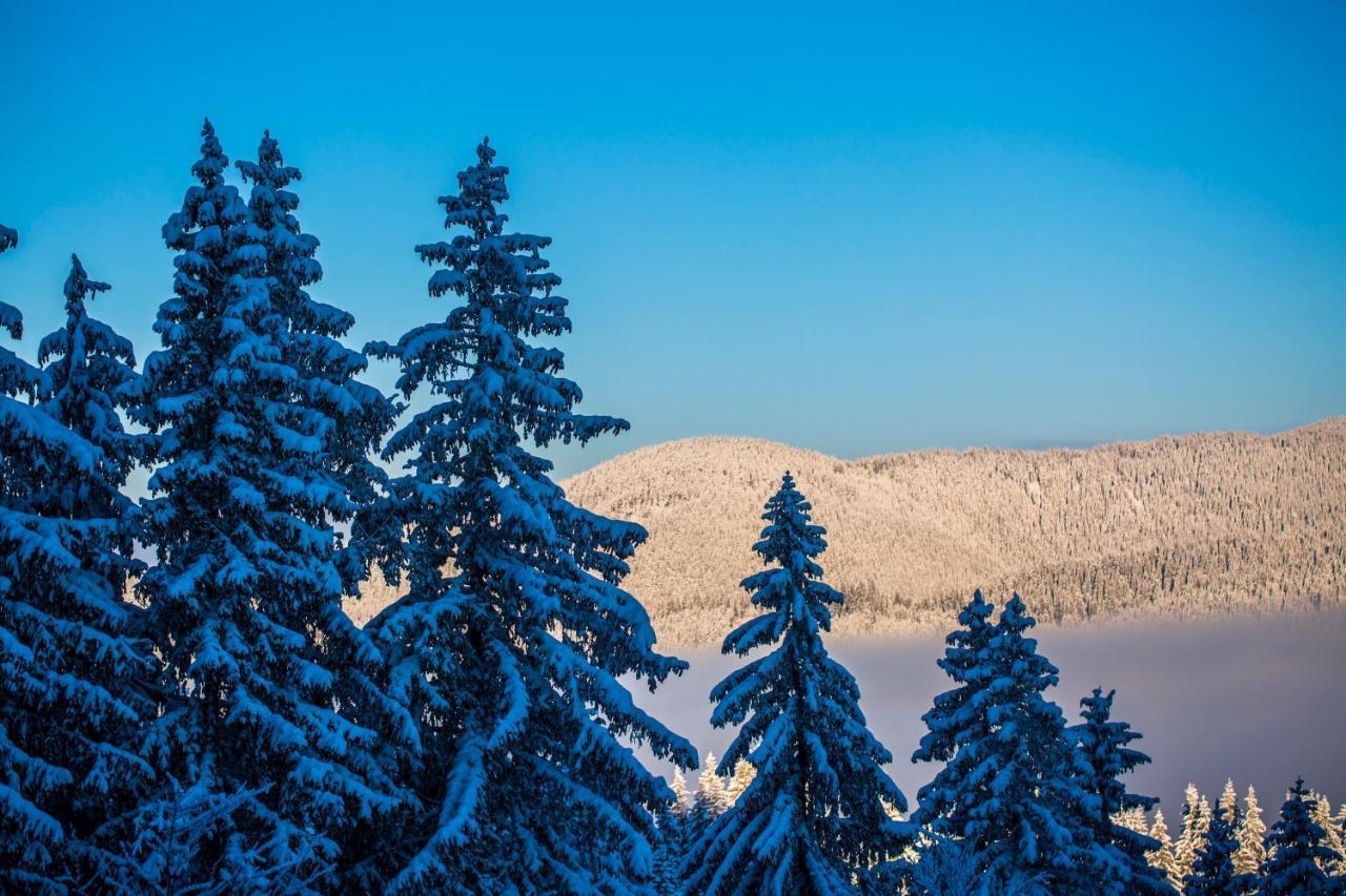 Sunny Hills Ski&Wellness Pamporovo Ngoại thất bức ảnh