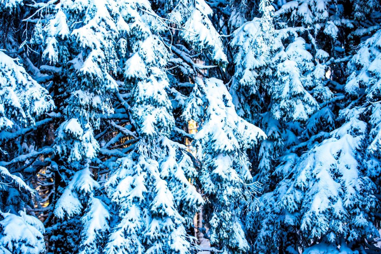 Sunny Hills Ski&Wellness Pamporovo Ngoại thất bức ảnh