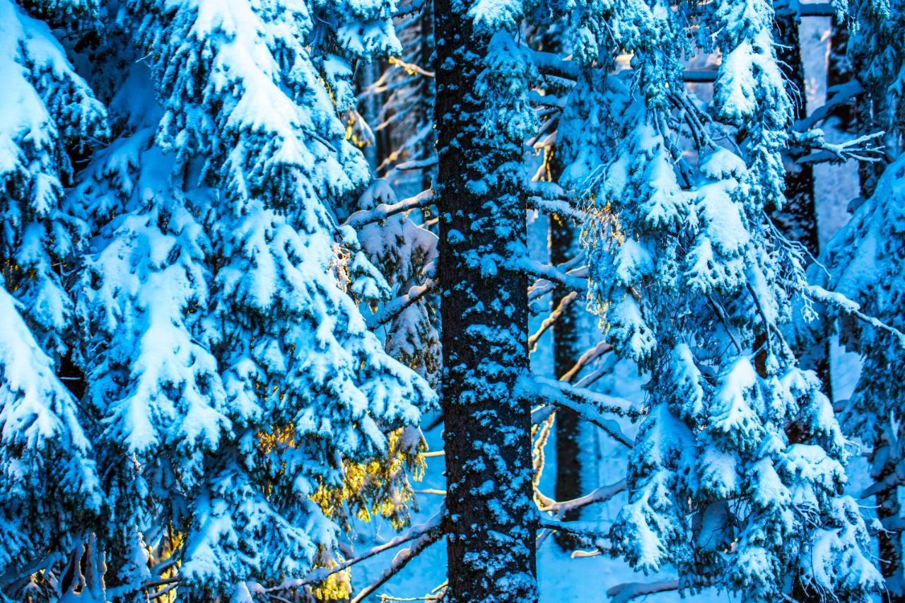 Sunny Hills Ski&Wellness Pamporovo Ngoại thất bức ảnh