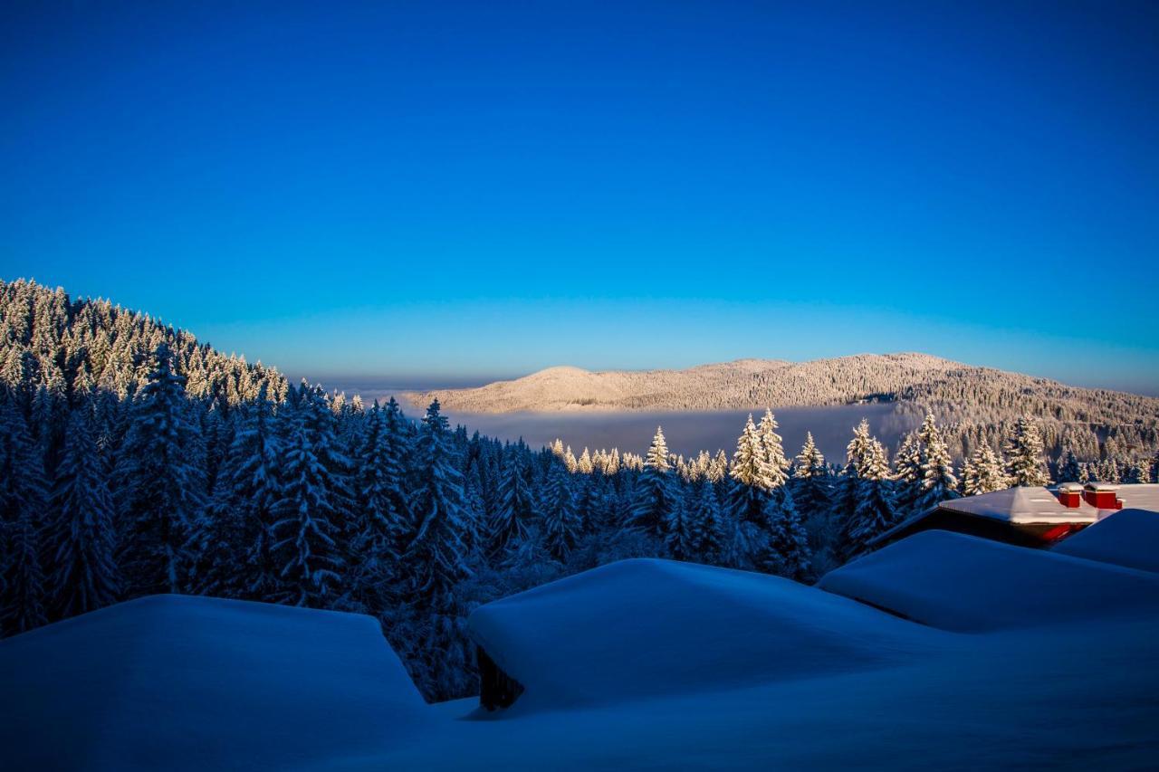 Sunny Hills Ski&Wellness Pamporovo Ngoại thất bức ảnh