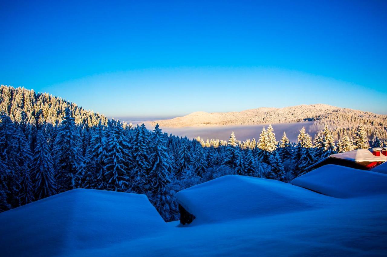 Sunny Hills Ski&Wellness Pamporovo Ngoại thất bức ảnh