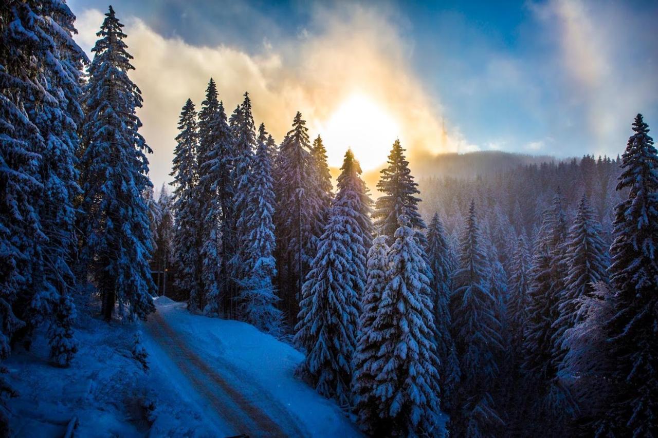 Sunny Hills Ski&Wellness Pamporovo Ngoại thất bức ảnh